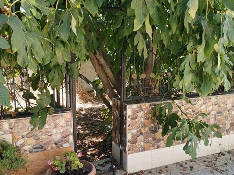4 otaqlı həyət evi, 110 m², Binə: 72 000 ₼ 5
