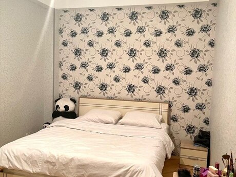 Kirayə 2 otaqlı mənzil, 70 m², Abşeron: 450 ₼/ay 2