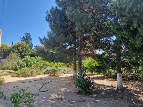 7 otaqlı həyət evi, 300 m², Albalılıq: 650 000 ₼ 4