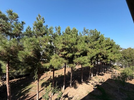 6 otaqlı həyət evi, 250 m², Bilgəh: 645 000 ₼ 4