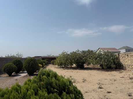 Elan №6439781 - Bakı, Nardaran q., 20 sot
