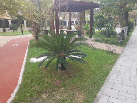 Kirayə 3 otaqlı mənzil, 100 m², Nəriman Nərimanov: 1 300 ₼/ay 2