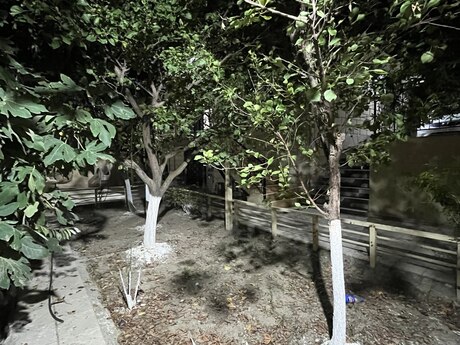 4 otaqlı həyət evi, 100 m², Masazır: 124 900 ₼ 5