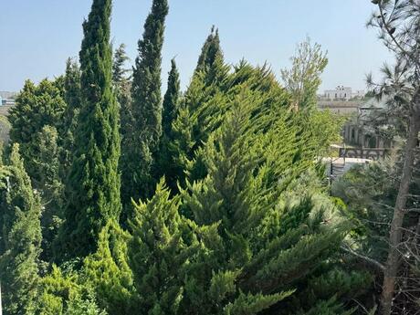 5 otaqlı həyət evi, 264 m², Sea Breeze: 470 000 ₼ 5