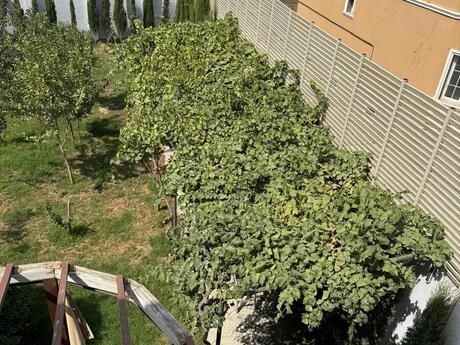 5 otaqlı həyət evi, 264 m², Sea Breeze: 470 000 ₼ 3