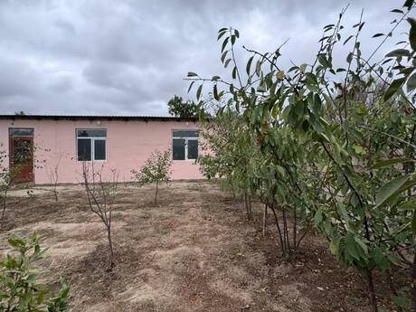 2 otaqlı həyət evi, 55 m², Albalılıq: 48 000 ₼ 2