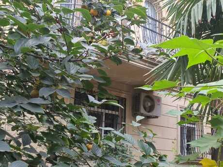Объявление №6441516 - Баку, м. Кара Караев, 6-комн., 250 м²