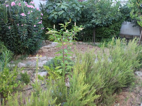4 otaqlı həyət evi, 180 m², Mərdəkan: 275 000 ₼ 5