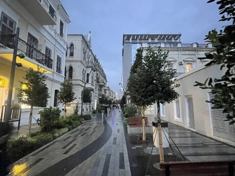 Elan №6441951 - Bakı, İçəri Şəhər m., 5 otaqlı, 230 m²