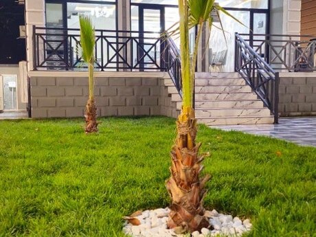 Объявление №6442838 - Габала, Габала, 4-комн., 340 м²