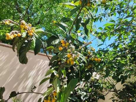 3 otaqlı həyət evi, 120 m², Qara Qarayev: 385 000 ₼ 5