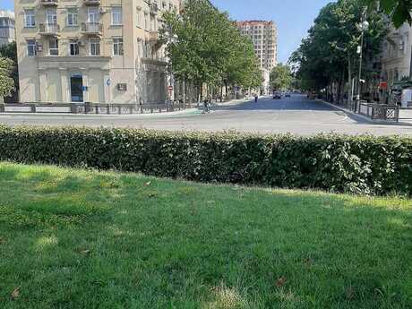 Объявление №6443286 - Баку, м. Низами, 2-комн., 75 м², 5/5 этаж