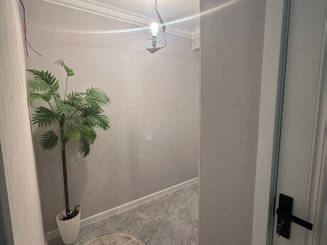 3 otaqlı mənzil, 100 m², 8 Noyabr: 235 000 ₼ 3