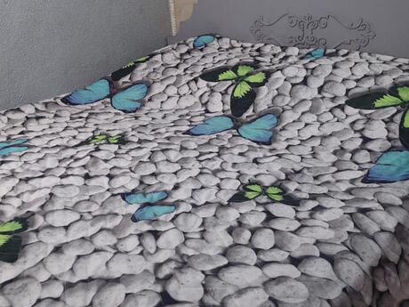 Kirayə 2 otaqlı mənzil, 30 m², Sahil: 620 ₼/ay 4