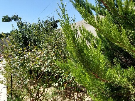 4 otaqlı həyət evi, 160 m², Masazır: 155 000 ₼ 3