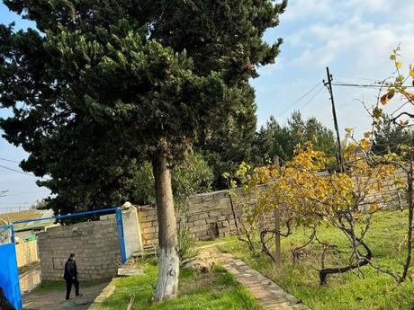 3 otaqlı həyət evi, 108 m², Binəqədi: 125 000 ₼ 2