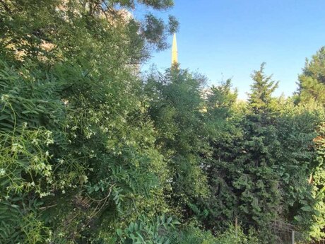 2 otaqlı mənzil, 55 m², Elmlər Akademiyası: 159 999 ₼ 5
