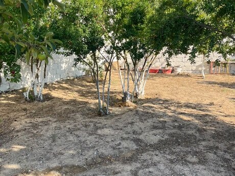 3 otaqlı həyət evi, 120 m², Bilgəh: 220 000 ₼ 5