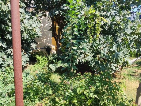 4 otaqlı həyət evi, 120 m², Binə: 128 000 ₼ 5