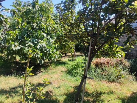 4 otaqlı həyət evi, 120 m², Binə: 128 000 ₼ 4