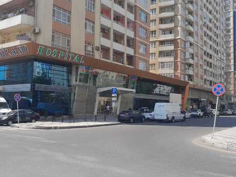 3 Şah İsmayıl Xətai