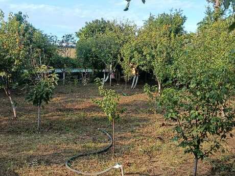 7 otaqlı həyət evi, 250 m², Novxanı: 300 000 ₼ 2
