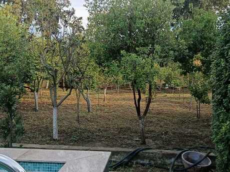 7 otaqlı həyət evi, 250 m², Novxanı: 300 000 ₼ 4
