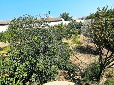 9 otaqlı həyət evi, 500 m², Saray: 281 000 ₼ 3