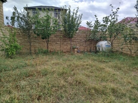 3 otaqlı həyət evi, 80 m², Saray: 43 000 ₼ 3