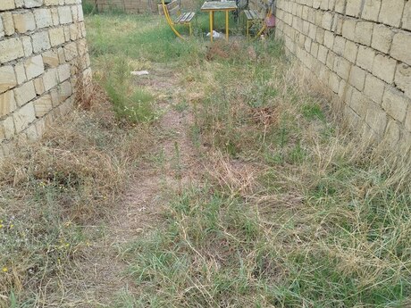 3 otaqlı həyət evi, 80 m², Saray: 43 000 ₼ 5