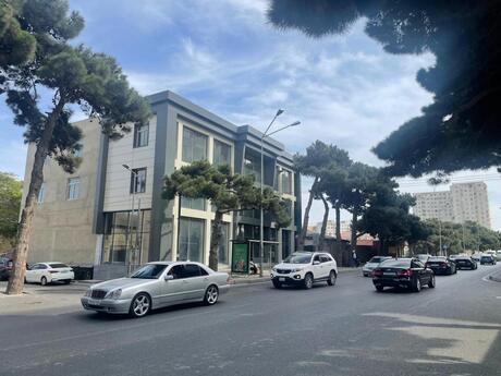 Elan №6448633 - Bakı, Bakıxanov q., 1000 m²