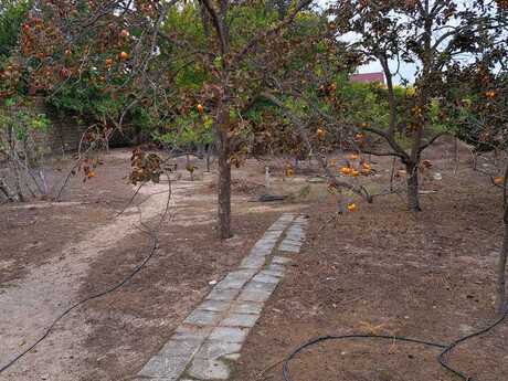 5 otaqlı həyət evi, 150 m², Novxanı: 140 000 ₼ 5