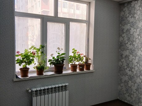 1 otaqlı mənzil, 52,5 m², Masazır: 95 000 ₼ 3