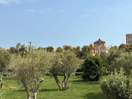 2-комнатная квартира, 95 м², Gənclik: 305 000 ₼ 2