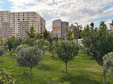 2-комнатная квартира, 95 м², Gənclik: 305 000 ₼ 4