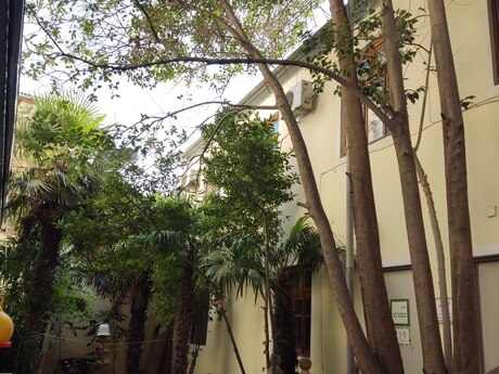 7 otaqlı həyət evi, 130 m², Elmlər Akademiyası: 580 000 ₼ 3