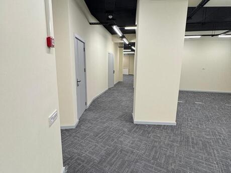 Elan №6450666 - Bakı, Nizami m., 4 otaqlı, 200 m²