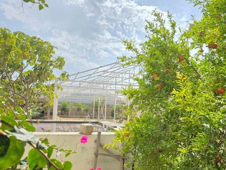 6 otaqlı həyət evi, 360 m², Türkan: 210 000 ₼ 3
