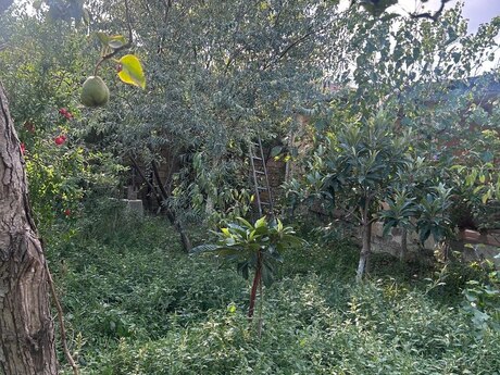 3 otaqlı həyət evi, 200 m², Binəqədi: 135 000 ₼ 3