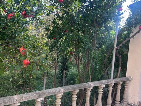 3 otaqlı həyət evi, 200 m², Binəqədi: 135 000 ₼ 4