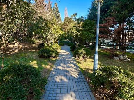 3 otaqlı mənzil, 90 m², Azadlıq Prospekti: 230 000 ₼ 5