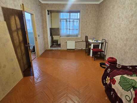 2 otaq · 43 m²