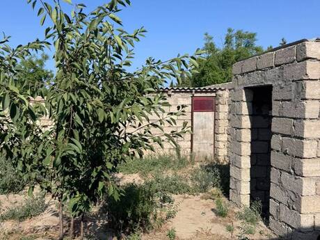 2 otaqlı həyət evi, 55 m², Albalılıq: 48 000 ₼ 5