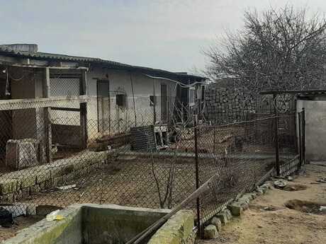 5 otaqlı həyət evi, 200 m², Türkan: 52 000 ₼ 5