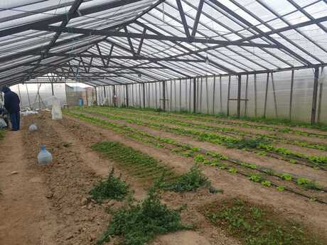 2 otaqlı həyət evi, 50 m², Türkan: 270 000 ₼ 4