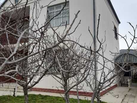 6 otaqlı həyət evi, 260 m², Sulutəpə: 265 000 ₼ 4