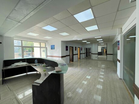 Объявление №6452256 - Баку, м. Шах Исмаил Хатаи, 600 м²