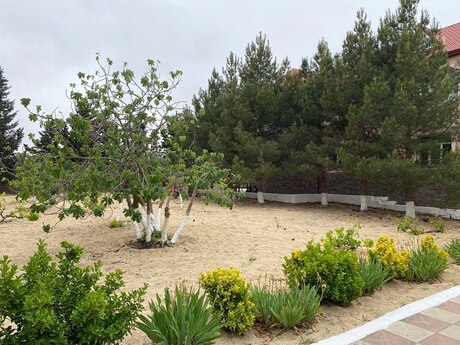 6 otaqlı həyət evi, 400 m², Novxanı: 380 000 ₼ 3