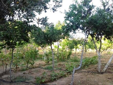 5 otaqlı həyət evi, 400 m², Görədil: 210 000 ₼ 3