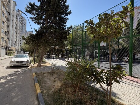 Kirayə 2 otaqlı mənzil, 60 m², 8 Noyabr: 750 ₼/ay 2